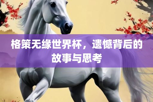 格策无缘世界杯，遗憾背后的故事与思考