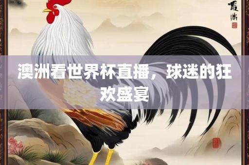 澳洲看世界杯直播，球迷的狂欢盛宴