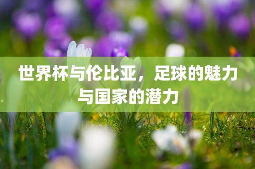 世界杯与伦比亚，足球的魅力与国家的潜力