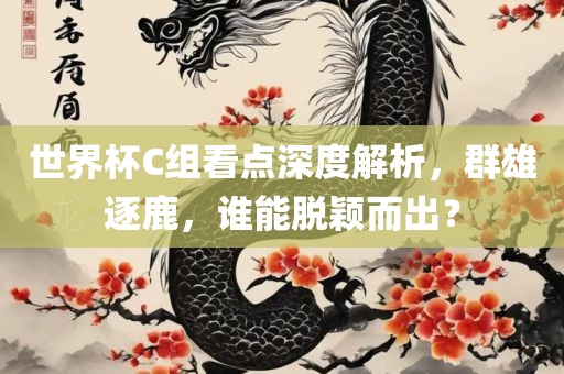 世界杯C组看点深度解析，群雄逐鹿，谁能脱颖而出？