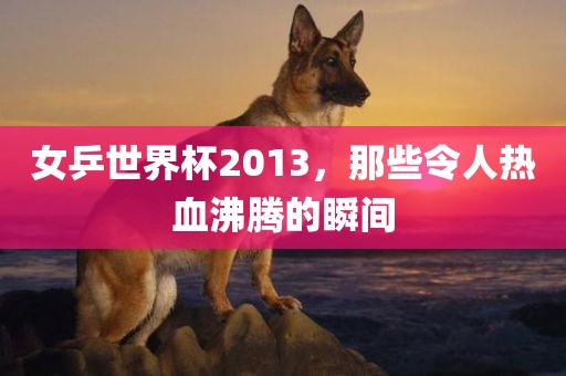 女乒世界杯2013，那些令人热血沸腾的瞬间
