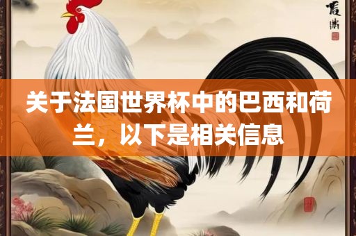 关于法国世界杯中的巴西和荷兰，以下是相关信息
