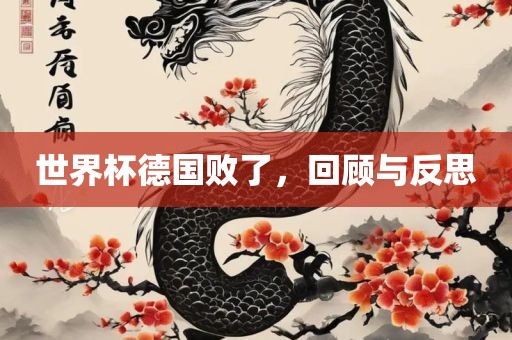世界杯德国败了，回顾与反思