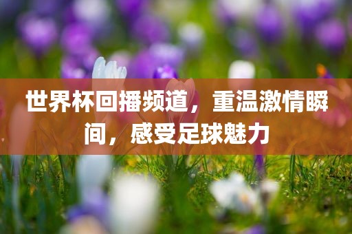 世界杯回播频道，重温激情瞬间，感受足球魅力