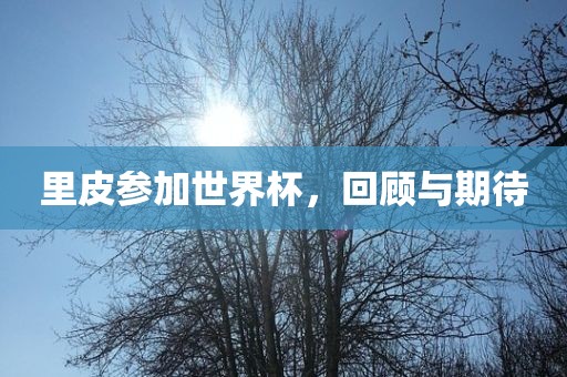 里皮参加世界杯，回顾与期待