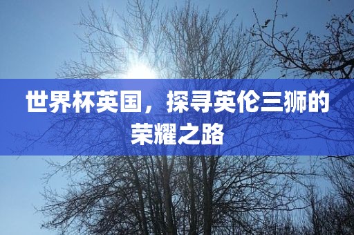 世界杯英国，探寻英伦三狮的荣耀之路