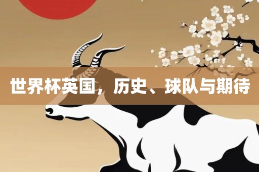 世界杯英国，历史、球队与期待