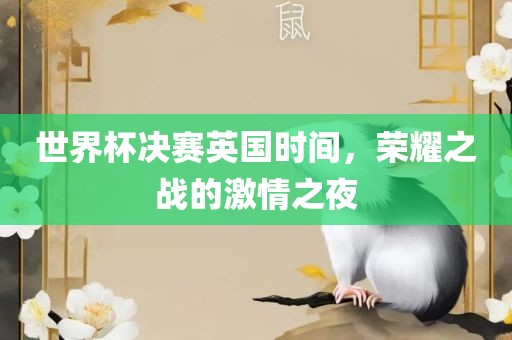 世界杯决赛英国时间，荣耀之战的激情之夜
