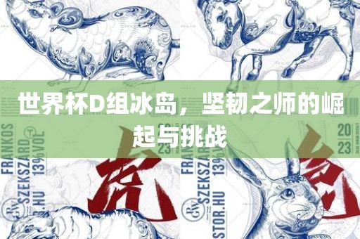 世界杯D组冰岛，坚韧之师的崛起与挑战