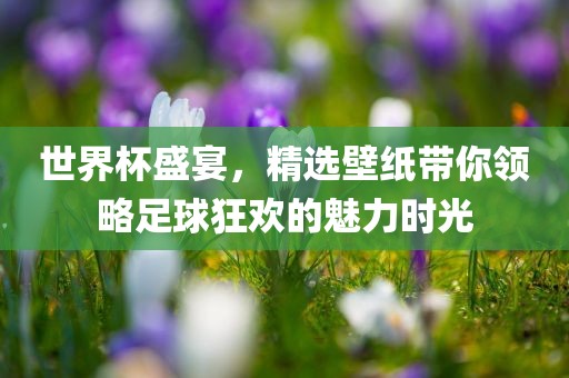 世界杯盛宴，精选壁纸带你领略足球狂欢的魅力时光