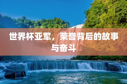 世界杯亚军，荣誉背后的故事与奋斗