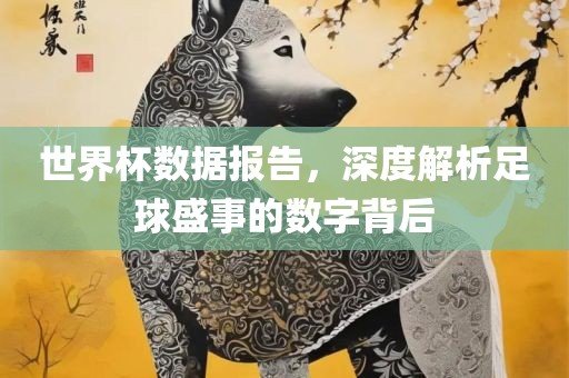 世界杯数据报告，深度解析足球盛事的数字背后