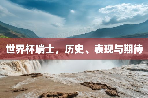 世界杯瑞士，历史、表现与期待