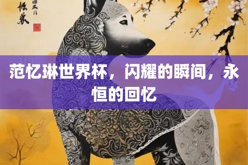 范忆琳世界杯，闪耀的瞬间，永恒的回忆