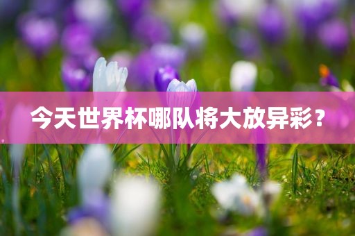 今天世界杯哪队将大放异彩？