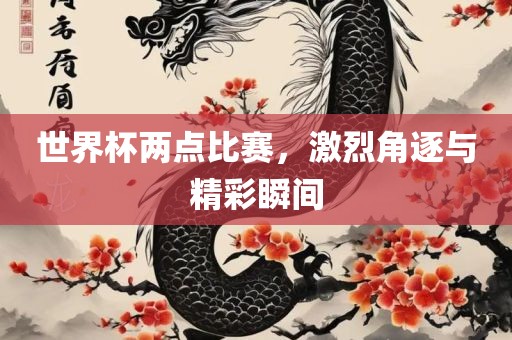 世界杯两点比赛，激烈角逐与精彩瞬间