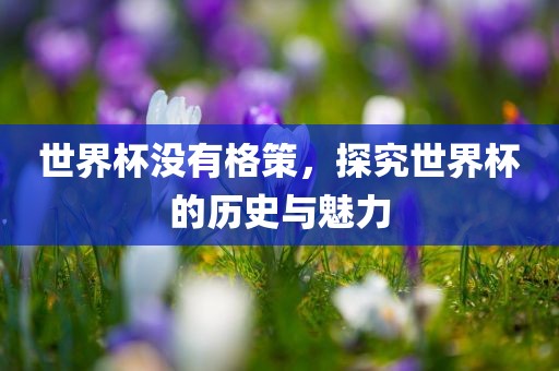 世界杯没有格策，探究世界杯的历史与魅力