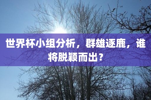 世界杯小组分析，群雄逐鹿，谁将脱颖而出？