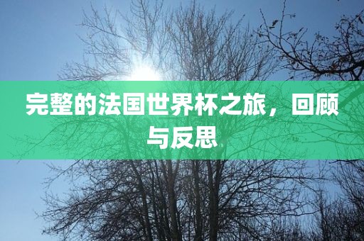 完整的法国世界杯之旅，回顾与反思