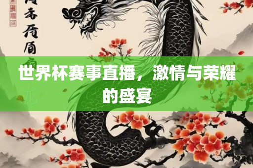 世界杯赛事直播，激情与荣耀的盛宴