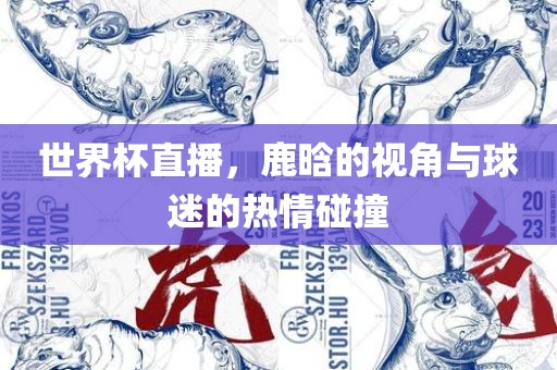 世界杯直播，鹿晗的视角与球迷的热情碰撞