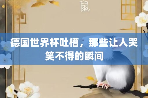 德国世界杯吐槽，那些让人哭笑不得的瞬间