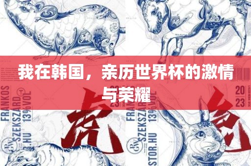 我在韩国，亲历世界杯的激情与荣耀