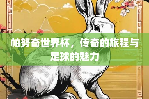 帕努奇世界杯，传奇的旅程与足球的魅力