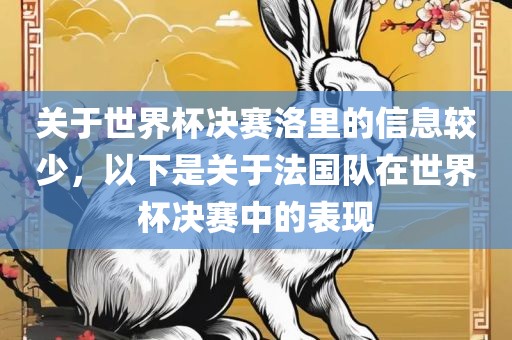 关于世界杯决赛洛里的信息较少，以下是关于法国队在世界杯决赛中的表现