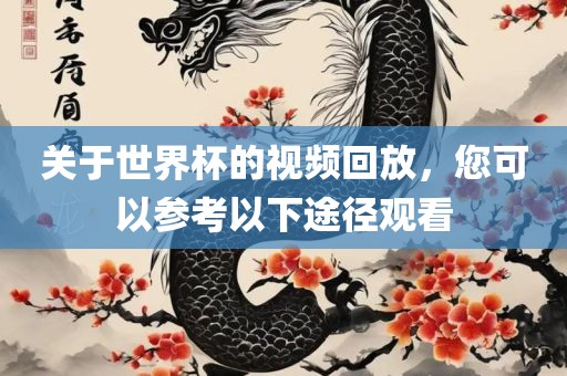 关于世界杯的视频回放，您可以参考以下途径观看