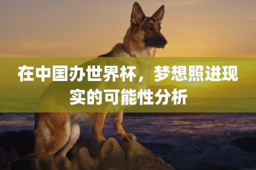 在中国办世界杯，梦想照进现实的可能性分析