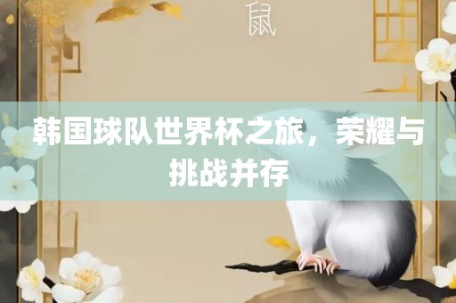 韩国球队世界杯之旅，荣耀与挑战并存