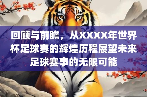 回顾与前瞻，从XXXX年世界杯足球赛的辉煌历程展望未来足球赛事的无限可能