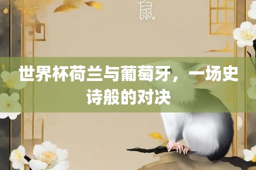 世界杯荷兰与葡萄牙，一场史诗般的对决