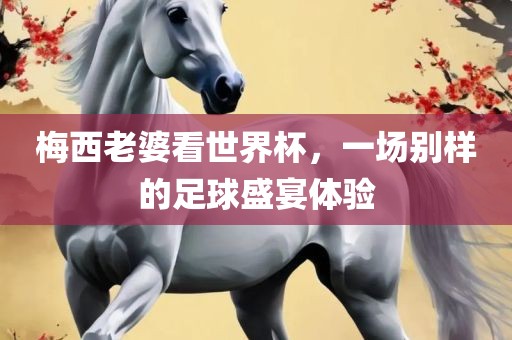 梅西老婆看世界杯，一场别样的足球盛宴体验