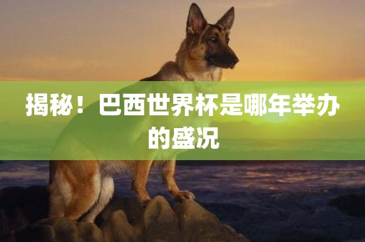 揭秘！巴西世界杯是哪年举办的盛况