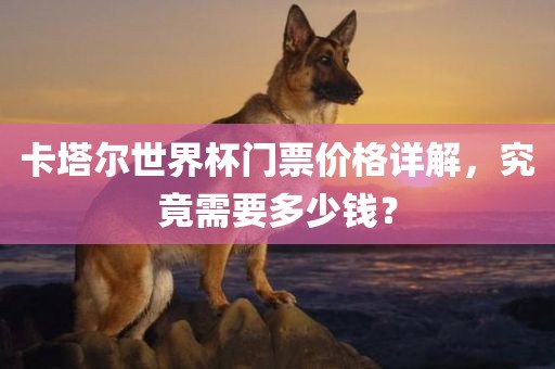 卡塔尔世界杯门票价格详解，究竟需要多少钱？