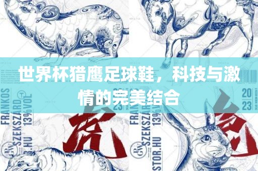 世界杯猎鹰足球鞋，科技与激情的完美结合