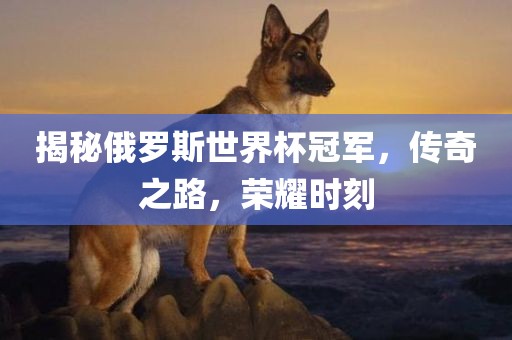 揭秘俄罗斯世界杯冠军，传奇之路，荣耀时刻
