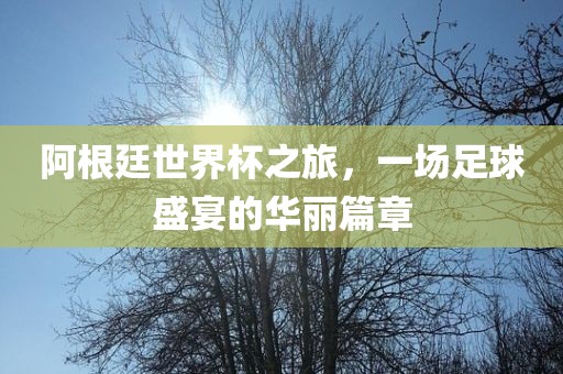 阿根廷世界杯之旅，一场足球盛宴的华丽篇章