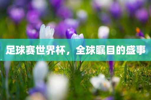 眉山市正发家政服务有限公司足球赛世界杯，全球瞩目的盛事