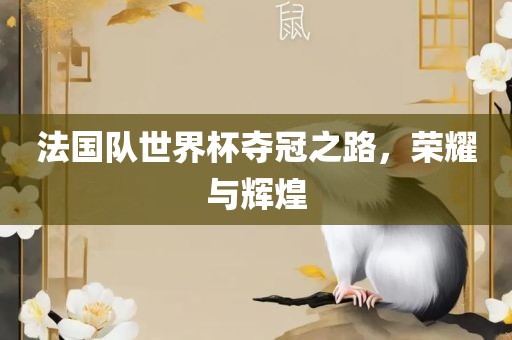 法国队世界杯夺冠之路，荣耀与辉煌