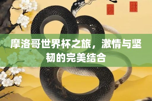 摩洛哥世界杯之旅，激情与坚韧的完美结合