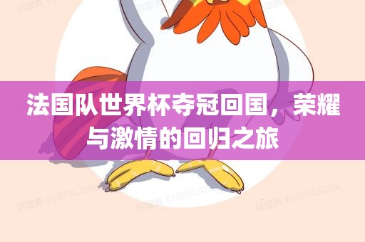 法国队世界杯夺冠回国，荣耀与激情的回归之旅