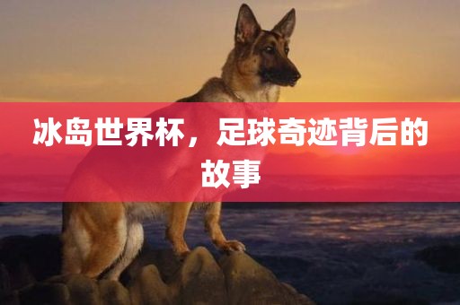 冰岛世界杯，足球奇迹背后的故事