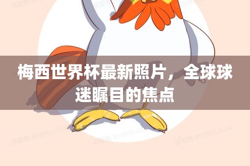 梅西世界杯最新照片，全球球迷瞩目的焦点