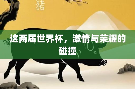 这两届世界杯，激情与荣耀的碰撞