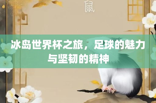 冰岛世界杯之旅，足球的魅力与坚韧的精神