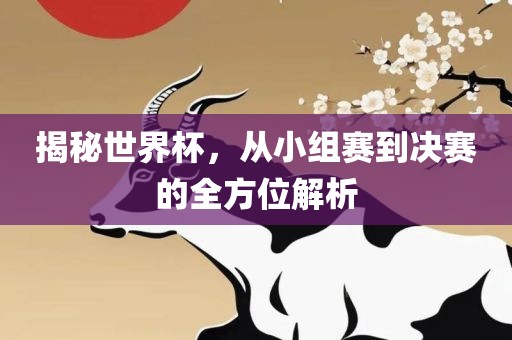 揭秘世界杯，从小组赛到决赛的全方位解析