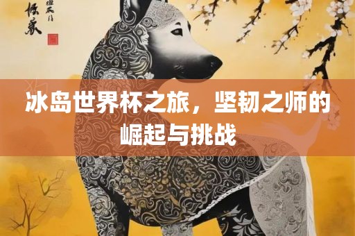 冰岛世界杯之旅，坚韧之师的崛起与挑战